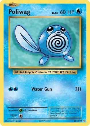 Poliwag 023 - Reverse Holofoil XY Evolutions - Common