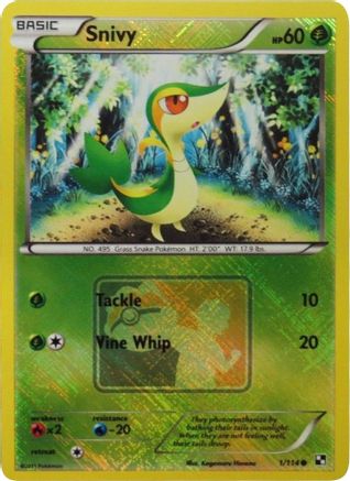 Snivy 001/114 - Reverse Holofoil League & Championship Cards - Promo