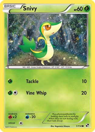 Snivy 001/114 - Holofoil Miscellaneous Cards & Products - Promo