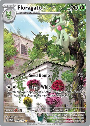 Floragato 197/193 - Holofoil SV02 Paldea Evolved - Illustration Rare