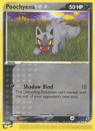 Poochyena - 65/109/109 - Reverse Holofoil Ruby and Sapphire - Common