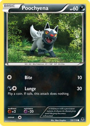 Poochyena 053 - Reverse Holofoil XY Phantom Forces - Common