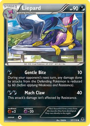 Liepard XY Phantom Forces - Uncommon