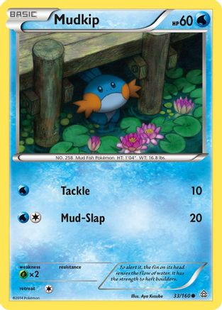 Mudkip 033 XY Primal Clash - Common