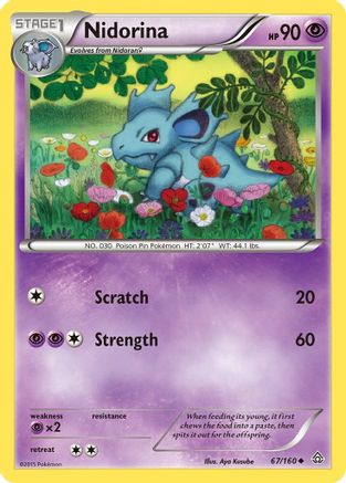 Nidorina 067 - Reverse Holofoil XY Primal Clash - Uncommon
