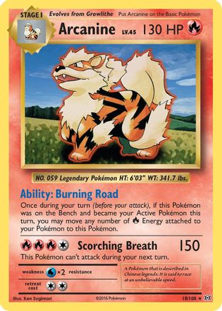 Arcanine 018  - Reverse Holofoil XY  Evolutions - Rare
