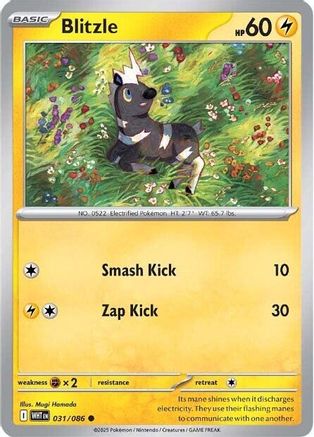 Blitzle 031  - Reverse Holofoil SV White Flare - Common