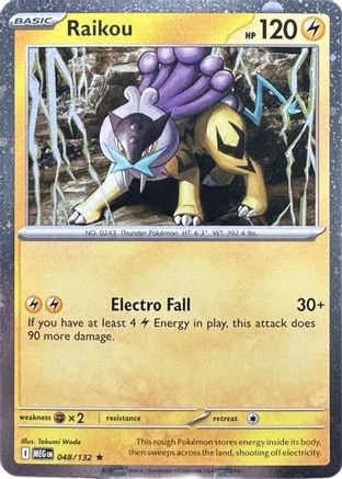 Raikou 048/132  - Holofoil Miscellaneous Cards & Products - Promo