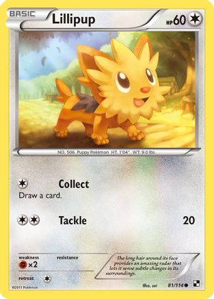 Lillipup (81)  Black and White - Common