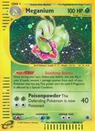Meganium (18)  - Holofoil Expedition - Holo Rare