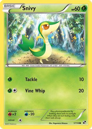 Snivy (1) 001  - Reverse Holofoil Black and White - Common